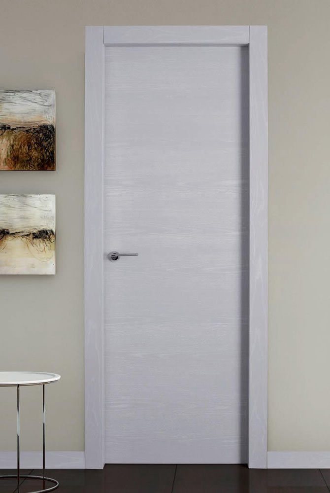 Horizon interior door frosted grey finish