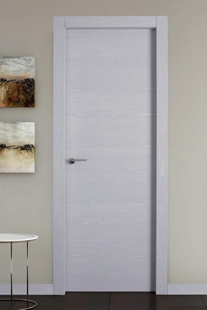 Horizon interior door frosted grey finish